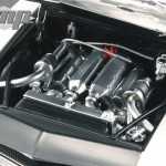 GMP_18806 (5)