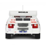 otto_Citroen bx 4 TC Group B4