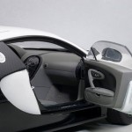 aa_Pur Blanc Veyron10