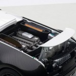 aa_Pur Blanc Veyron12