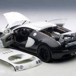 aa_Pur Blanc Veyron13
