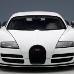 aa_Pur Blanc Veyron5