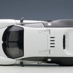 aa_Pur Blanc Veyron7
