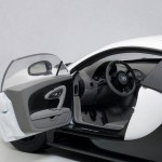 aa_Pur Blanc Veyron9