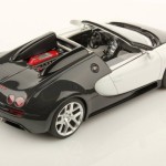 mr_BUG04C5