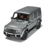 gts_MERCEDES-BENZ G65 AMG DesignoMP5