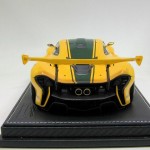 tm_McLaren P1 GTR5