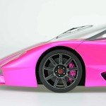 fa_SSC Tuatara flash pink4