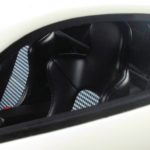 gts_GT109g