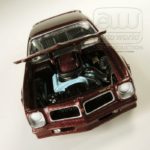 aw_pontiac-firebird-trans-am4
